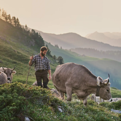 Reference_Acht_Schwyz
