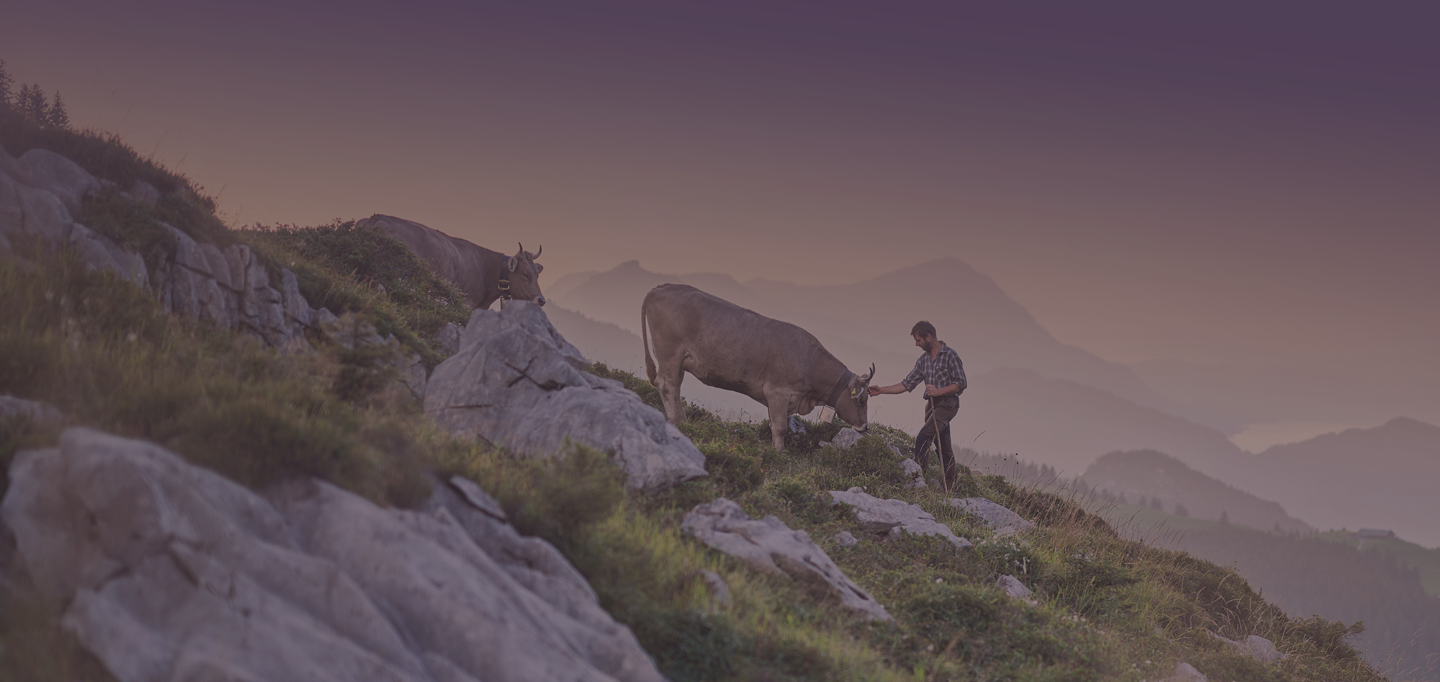 e-guma_bestpractice_header_aechtschwyz